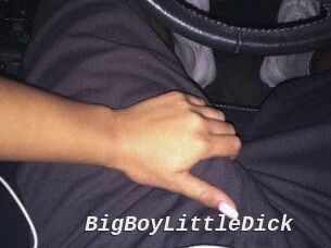 BigBoyLittleDick