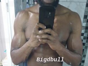 Bigdbull