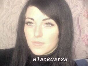 BlackCat23