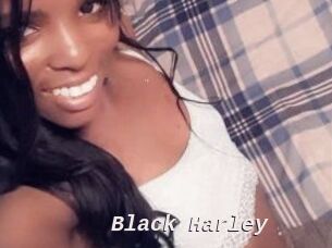 Black_Harley