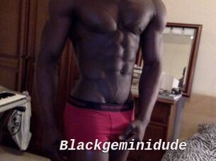 Blackgeminidude