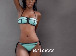 Brick23