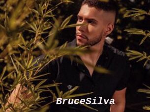 BruceSilva