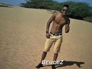 BruceZ