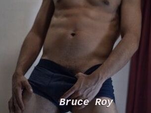 Bruce_Roy