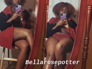 Bellarosepotter