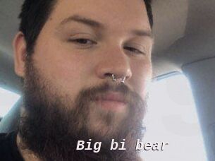 Big_bi_bear