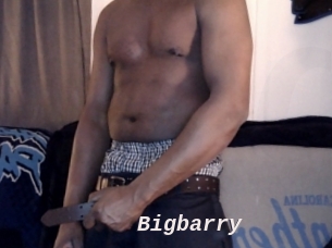 Bigbarry