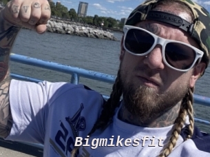 Bigmikesfit