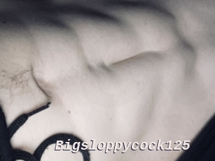 Bigsloppycock125