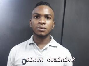 Black_dominick