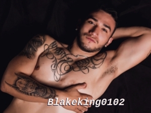 Blakeking0102