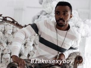 Blakesexyboy