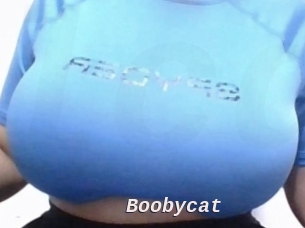 Boobycat