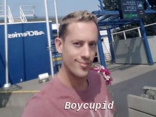 Boycupid