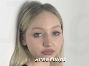 Breefudge