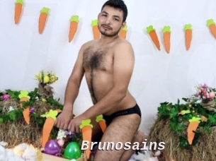 Brunosains