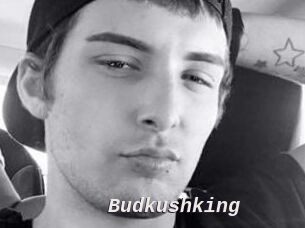 Budkushking