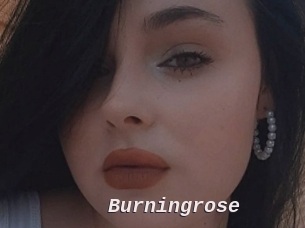 Burningrose