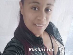 Bushalice