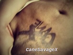 CaneSavageX Live Camgirls Sex