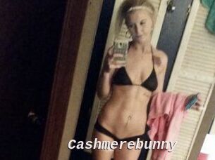 Cashmerebunny