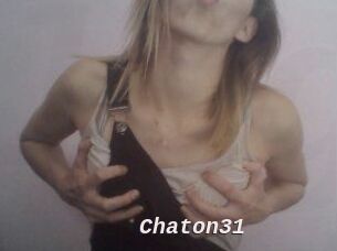 Chaton31