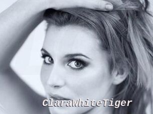 ClaraWhiteTiger