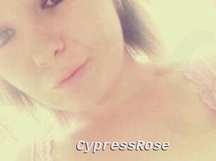 Cypress_Rose