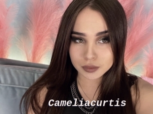 Cameliacurtis