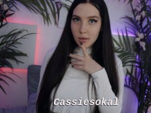 Cassiesokal