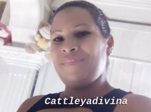 Cattleyadivina