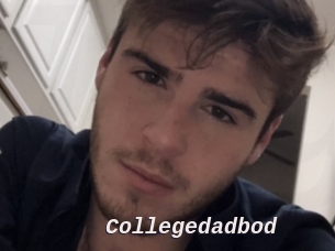 Collegedadbod