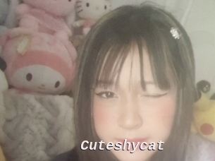 Cuteshycat