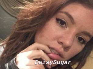 Daisy_Sugar