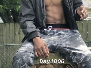 Day1DOG