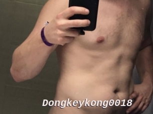 Dongkeykong0018