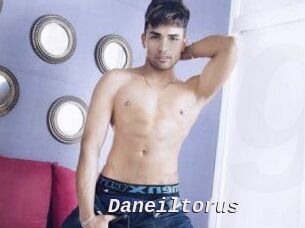 Daneil_torus