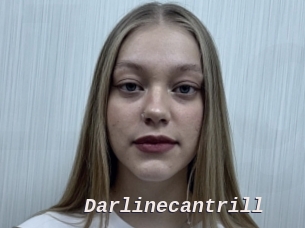 Darlinecantrill