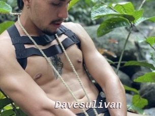 davesulivan Live Camgirls Sex