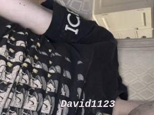 David1123