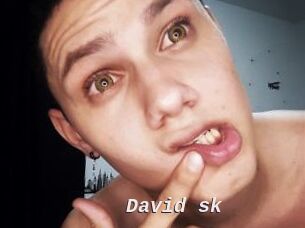 David_sk