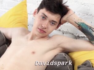 Davidspark