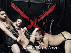 Domblakeslave