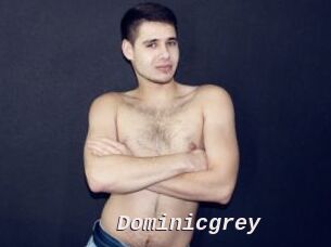 Dominicgrey