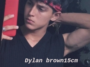 Dylan_brown15cm