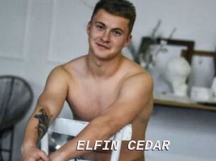 ELFIN_CEDAR