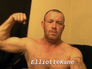 Elliotte_Kane