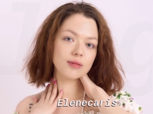 Elenecaris