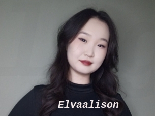 Elvaalison